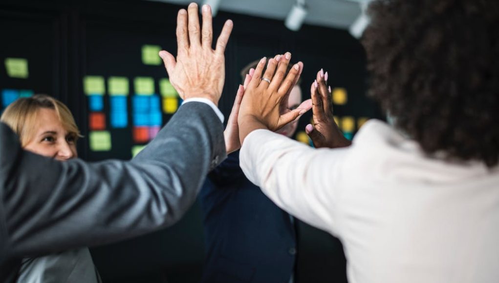 ChanReMedSoft Section Visual