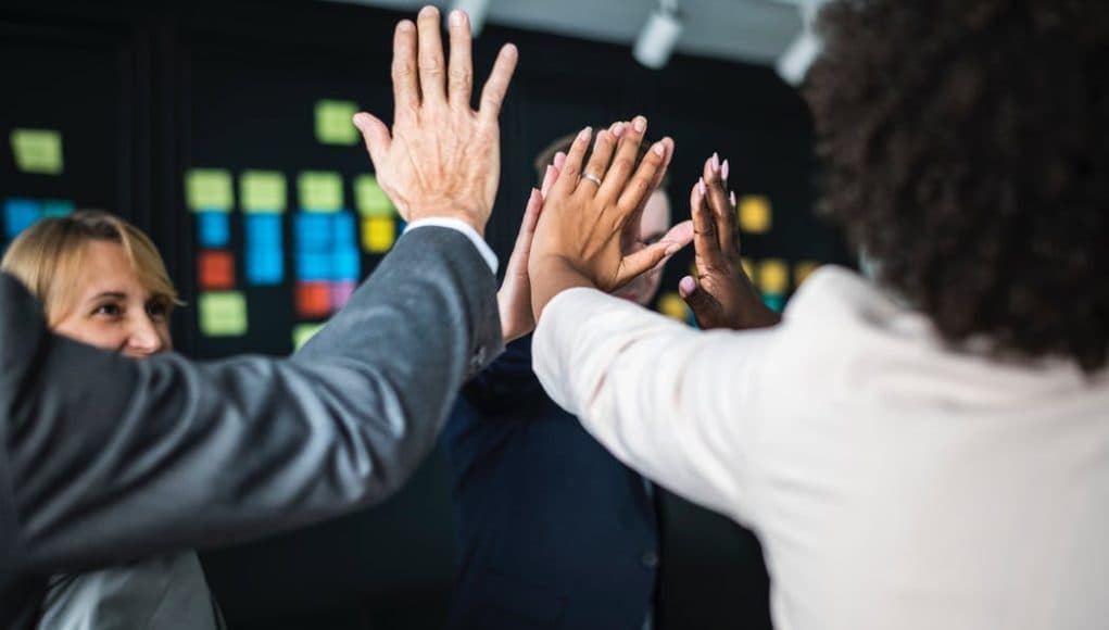 ChanReMedSoft Section Visual